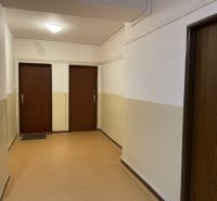 Chodba bytového domu se třemi dveřmi a světlou stěnou.