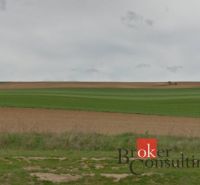 Rozlehlé zelené pole v Lužiankách, vhodné pro pozemky - bydlení.