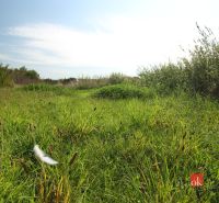 Slunečné pozemky - bydlení v Nitře s bujnou vegetací a modrou oblohou.