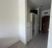 Garsonka s podlahou s dřevěným dekorem, lednicí a vestavěnou skříní.