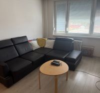 Obývací pokoj v 2pokojovém bytě s černou pohovkou a podlahou s dřevěným dekorem.