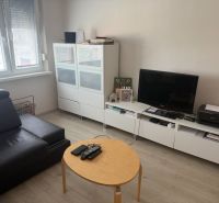 Obývací pokoj v 2pokojovém bytě s podlahou s dřevěným dekorem a moderním nábytkem.