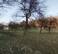 Zahrada s listnatými stromy na pozemku k bydlení ve Velkém Krtíši, A. H. Škultétyho.