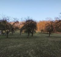 Pozemky - bydlení na ulici A. H. Škultétyho ve Velkém Krtíši se stromy a travnatou plochou.