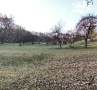 Zeleň s ovocnými stromy na mírném svahu na pozemcích pro bydlení na A. H. Škultétyho ve Velkém Krtíši.