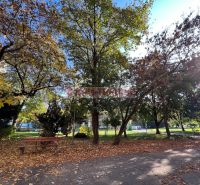 Park s lavičkou za podzimního počasí na Miletičově v Bratislavě - Ružinově.