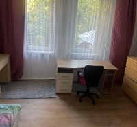 Pokoj s dřevěným dekorem, psací stůl, kancelářská židle a komoda se šuplíky.