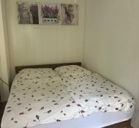 Ložnice s manželskou postelí v 3-pokojovém bytě, podlaha s dřevěným dekorem, závěsný lustr.