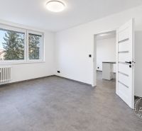 Prostorná světlá místnost v 2-pokojovém bytě, s velkým oknem a vstupními dveřmi.