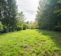 Zelená louka obklopená stromy na rekreačních pozemcích v Bratislavě - Devíně.