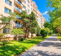 Panelový dům na Rumančekově ulici v Bratislavě - Ružinově, obklopený zelení a stromy.