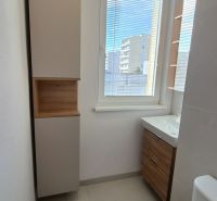 Koupelna v 1-pokojovém bytě s elegantní skříňkou a výhledem přes okno.