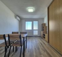 Garsonka s podlahou s dřevěným dekorem, stolem, židlemi a vestavěnými skříněmi.