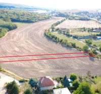 Zemědělské a lesní pozemky v Podhájské obklopené stromy a cestou.