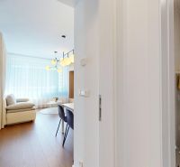Interiér 2-pokojového bytu s podlahou s dřevěným dekorem a moderním posezením.