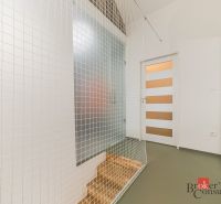 Chodba s ozdobnou síťkou a dvěma dveřmi v 3-pokojovém bytě.