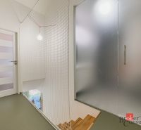 Skleněné dveře, síťové zábradlí a dřevěné schody v 3-pokojovém bytě.