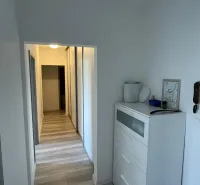 Chodba v 2-pokojovém bytě s bílou komodou a podlahou s dřevěným dekorem.