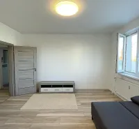 Světlý obývací pokoj v 2-pokojovém bytě s podlahou s dřevěným dekorem a šedou pohovkou.