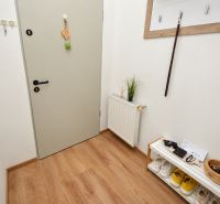 Vstupní hala v 1-pokojovém bytě s podlahou s dřevěným dekorem a úložným prostorem.