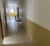 Chodba v kancelářích s dlažbou a pokojovou rostlinou u okna.