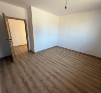 Pokoj v rodinném domě s podlahou s dřevěným dekorem a dřevěnými dveřmi.