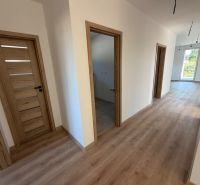 Chodba v rodinném domě s podlahou s dřevěným dekorem a dřevěnými dveřmi.