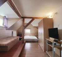 Interiér rekreačního apartmánu s postelí, televizorem a podlahou s dřevěným dekorem.