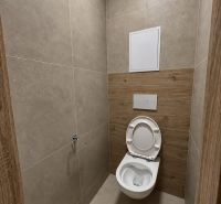 WC s keramickými obklady a podlahou s dřevěným dekorem ve 2pokojovém bytě.
