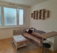 Garsonka s podlahou s dřevěným dekorem, pohovkou, stolkem a závěsnou policí.
