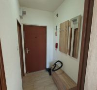 Vstupní chodba v garsonce se skříní a dřevěným dekorem na podlaze.