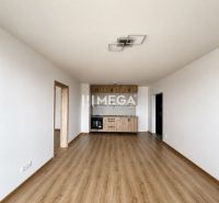 Obývací pokoj v 3-pokojovém bytě s podlahou s dřevěným dekorem a kuchyňskou linkou.