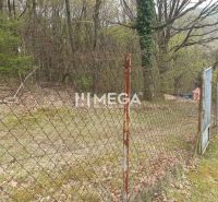 Dřevěné oplocení v zahradě na ulici v Humenném obklopené stromy.