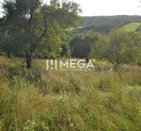 Travnatý pozemek s ovocnými stromy v rodinném domě na ulici Vyšné Ladičkovce, Vyšné Ladičkovce.