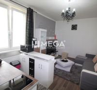 Obývací pokoj s kuchyní v rekreačním apartmánu, podlaha s dřevěným dekorem, šedá pohovka.