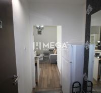 Rekreační apartmán s podlahou s dřevěným dekorem, kuchyňský kout a obývací prostor.