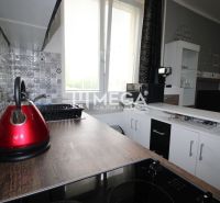 Kuchyňská linka s dekoračními obklady a spotřebiči v Rekreačním apartmánu.
