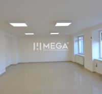 Světlé obchodní prostory s velkými okny, dlažba a umělé osvětlení.