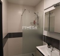Koupelna s walk-in sprchovým koutem a dřevěným dekorem v 2-pokojovém bytě.