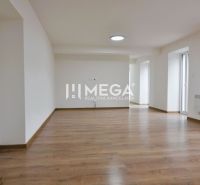 Prostorný pokoj se světlými stěnami a podlahou s dřevěným dekorem v 2-pokojovém bytě.