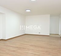 Prostorná místnost s podlahou s dřevěným dekorem ve 2pokojovém bytě.