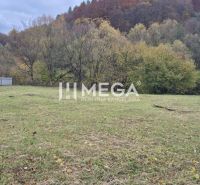 Pozemek pro bydlení ve Stakčíně na ulici Československé armády u lesního porostu.