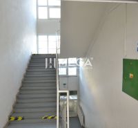 Schodiště ve výrobních prostorách s prosvětlením přes okna.