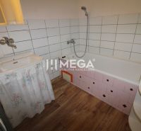 Koupelna v 2-pokojovém bytě s vanou, umyvadlem a podlahou s dřevěným dekorem.