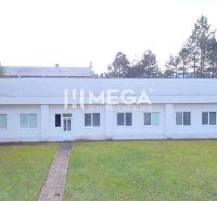 Budova na Budovatelské ulici ve Snině, Obchodní prostory obklopené trávníkem a stromy.