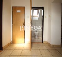 Obchodní prostory s toaletou a střešním oknem.