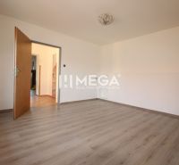 Interiér rodinného domu s podlahou s dřevěným dekorem, jednoduché bílé stěny a velké dřevěné dveře.
