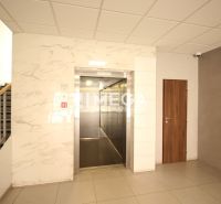 Vstupní hala s výtahem a schodištěm ve 3pokojovém bytě.