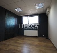 Kanceláře s tmavými stěnami, podlahou s dřevěným dekorem a oknem pro denní světlo.