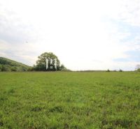 Zeleň louky a stromy v pozadí, Vyšný Kazimír, pozemky - bydlení.